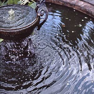 Water Feature