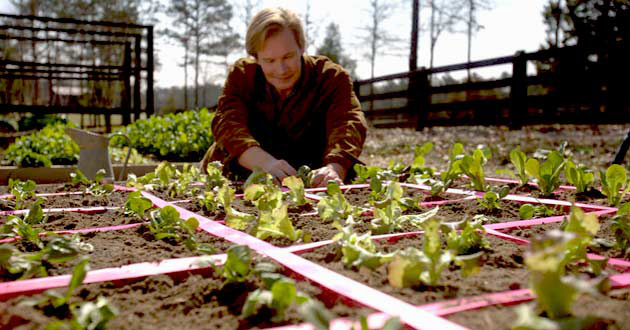 Square Foot Garden