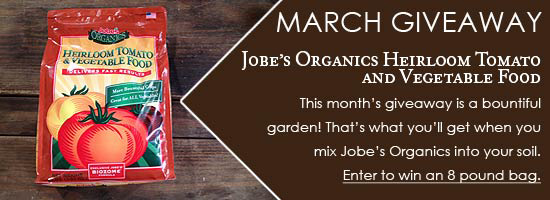 March Giveaway - Jobe's Orgabic Fertilizer