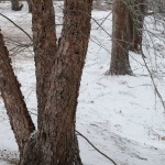 10_01005-web