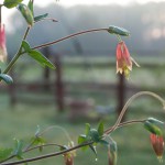12_04062-web