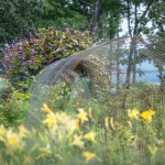 14_07136-web