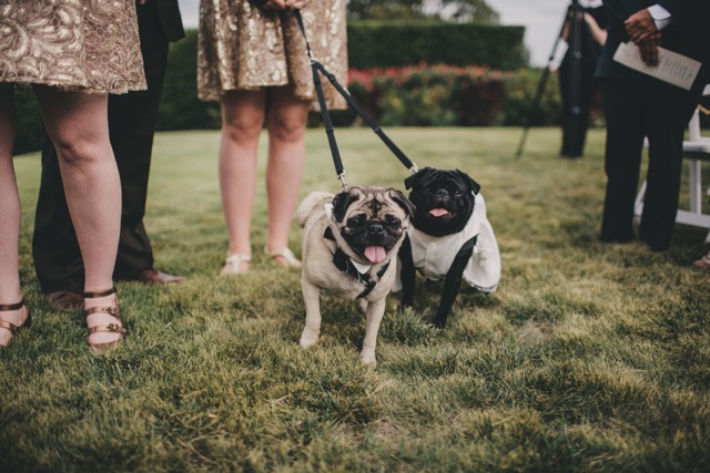 Wedding Venue