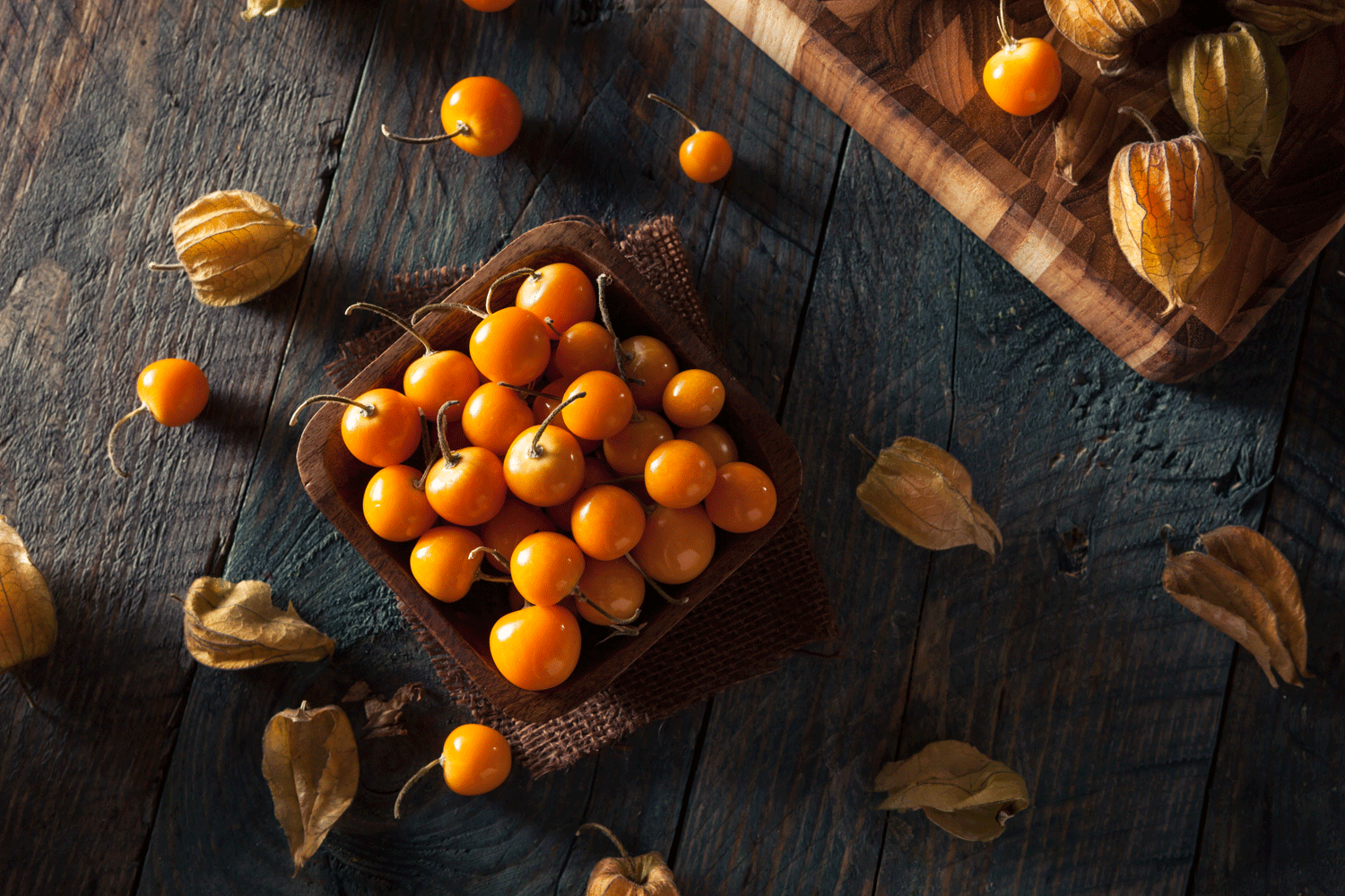 Introduce Yourself to Husk Cherries