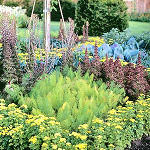 Raised Herb Garden Design