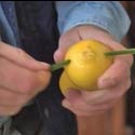 Pipe Cleaner Inserted through a Lemon