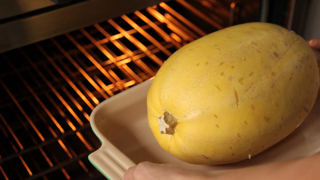 best spaghetti squash for container gardens