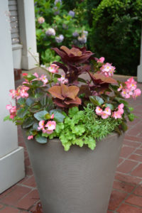 proven winners container garden crescent planter