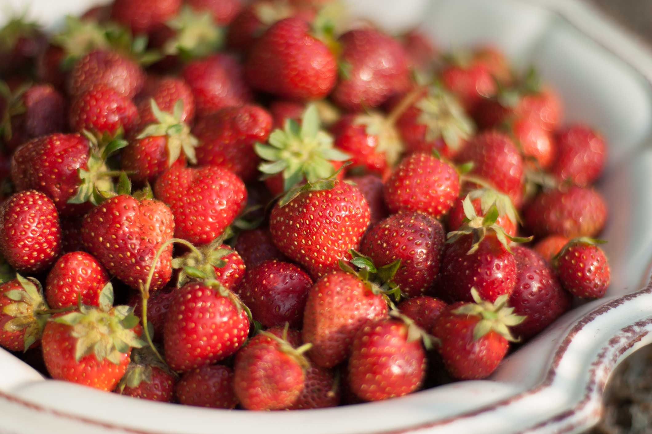 Tips On How To Grow Strawberries P Allen Smith