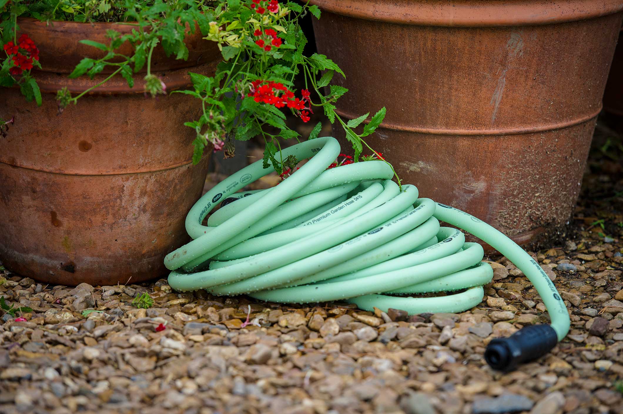 Summer is the season of the garden hose. 