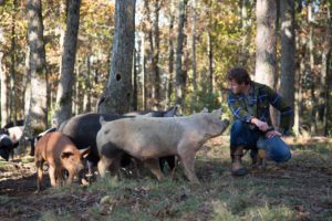 Falling Sky Farm's Cody Hopkins with his hogs. 