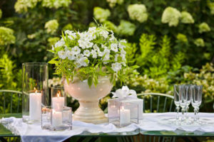 proven winners white wedding celebrations