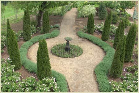 Tall arborvitae trees, chat path and an urn