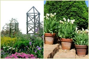 12 Principles Of Garden Design – P. Allen Smith