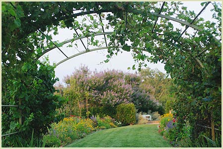 12 principles of garden design