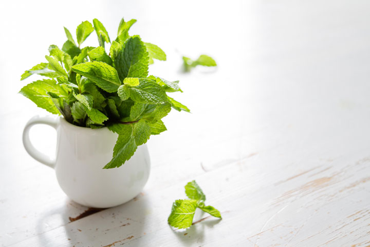uses for mint
