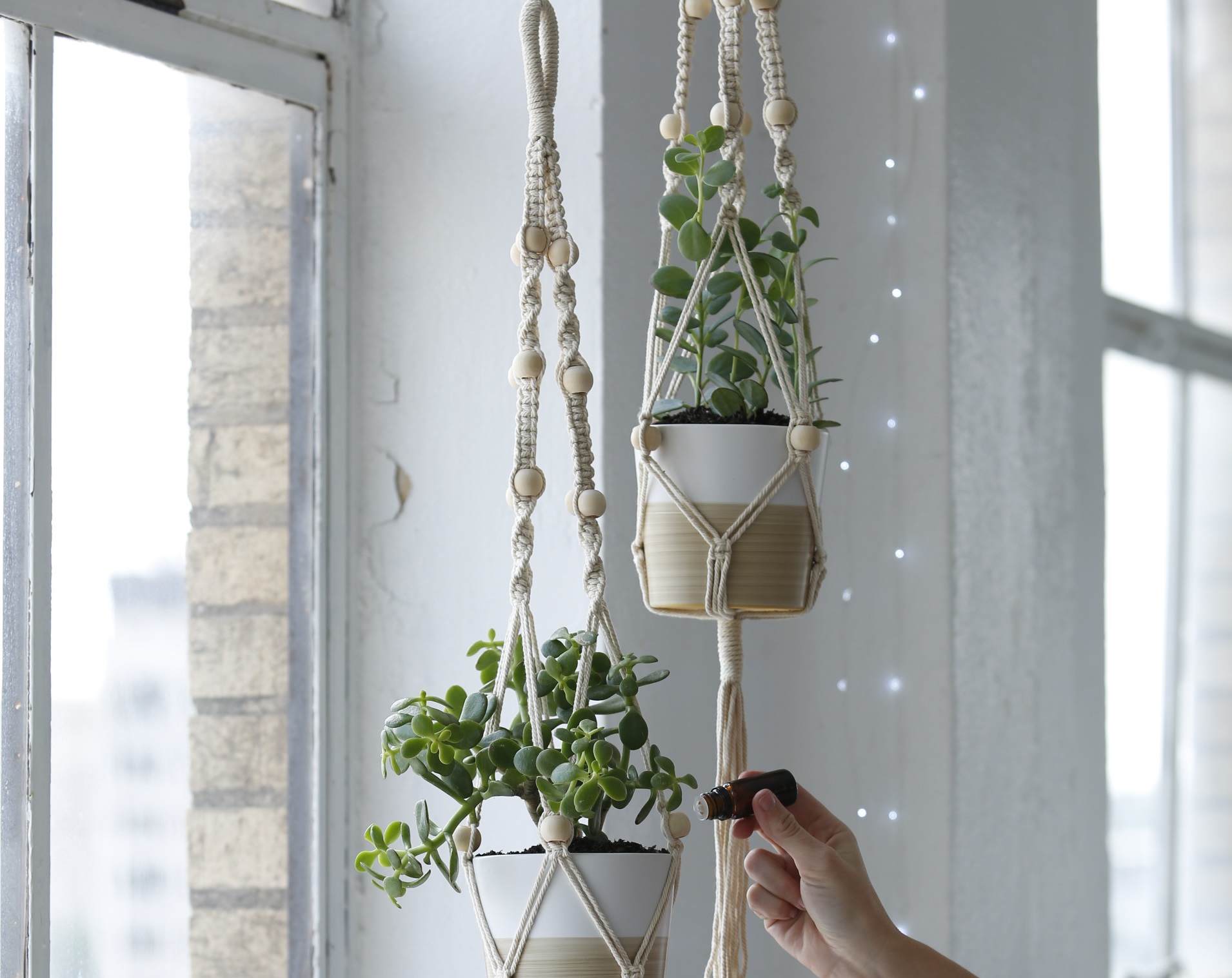 how to use essential oils in your macrame plant holder