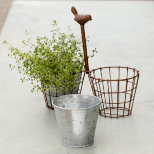 Thyme in a wire basket with a bord handle