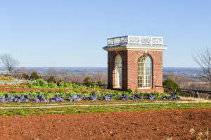 3 ways to bring monticello to your home garden