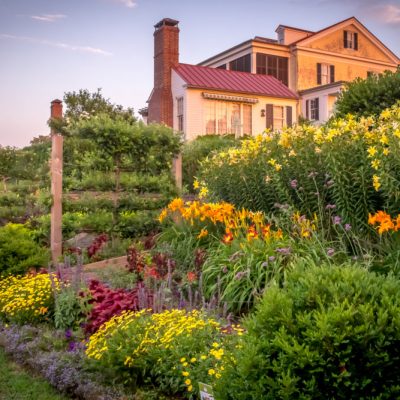 A colorful, fruit, herb and ornamental filled border garden at Moss Mountain Farm