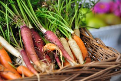 farmers table carrots