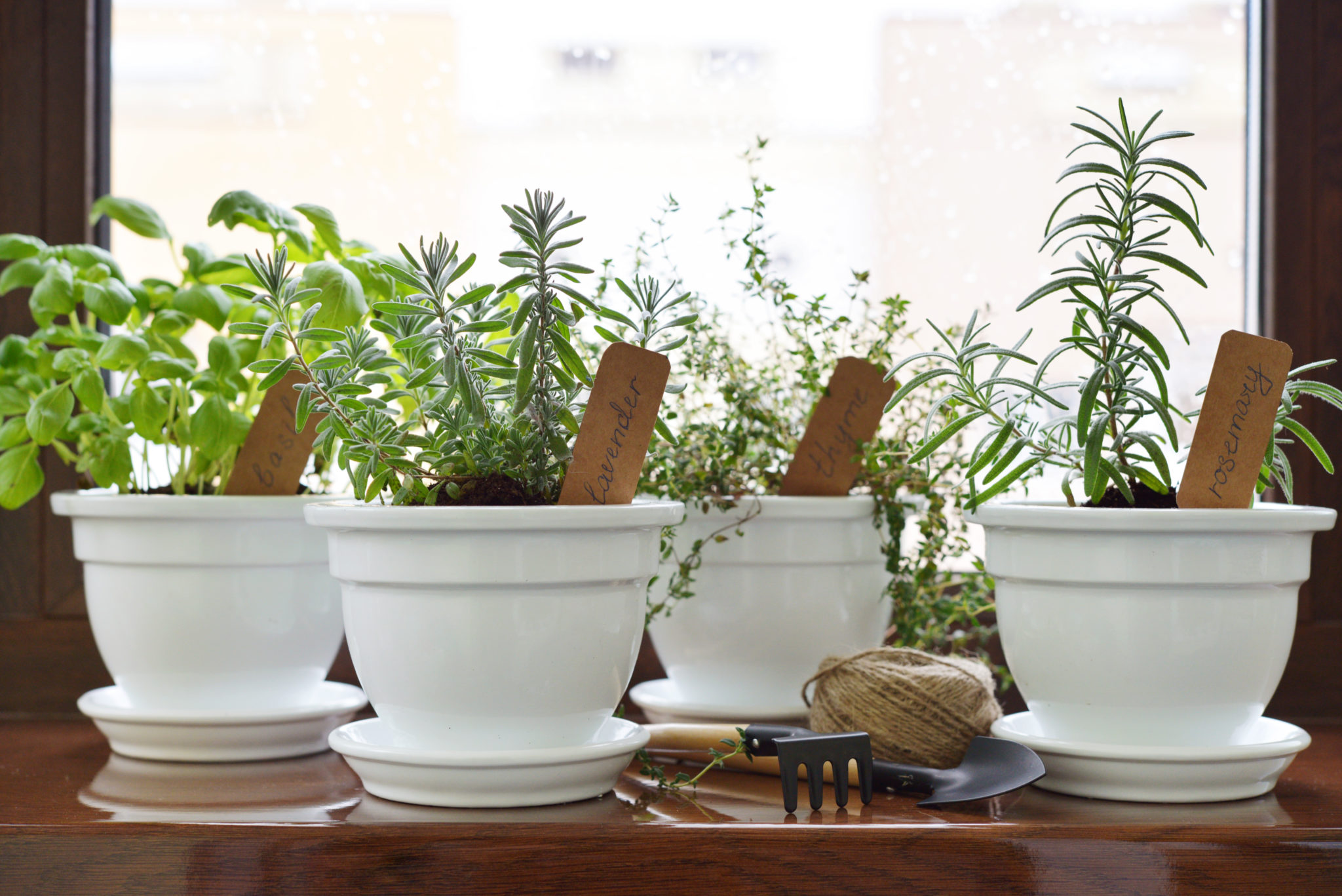herbs pots windowsill